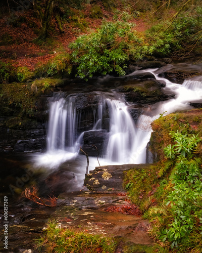Fototapeta Naklejka Na Ścianę i Meble -  Picturesque waterfall