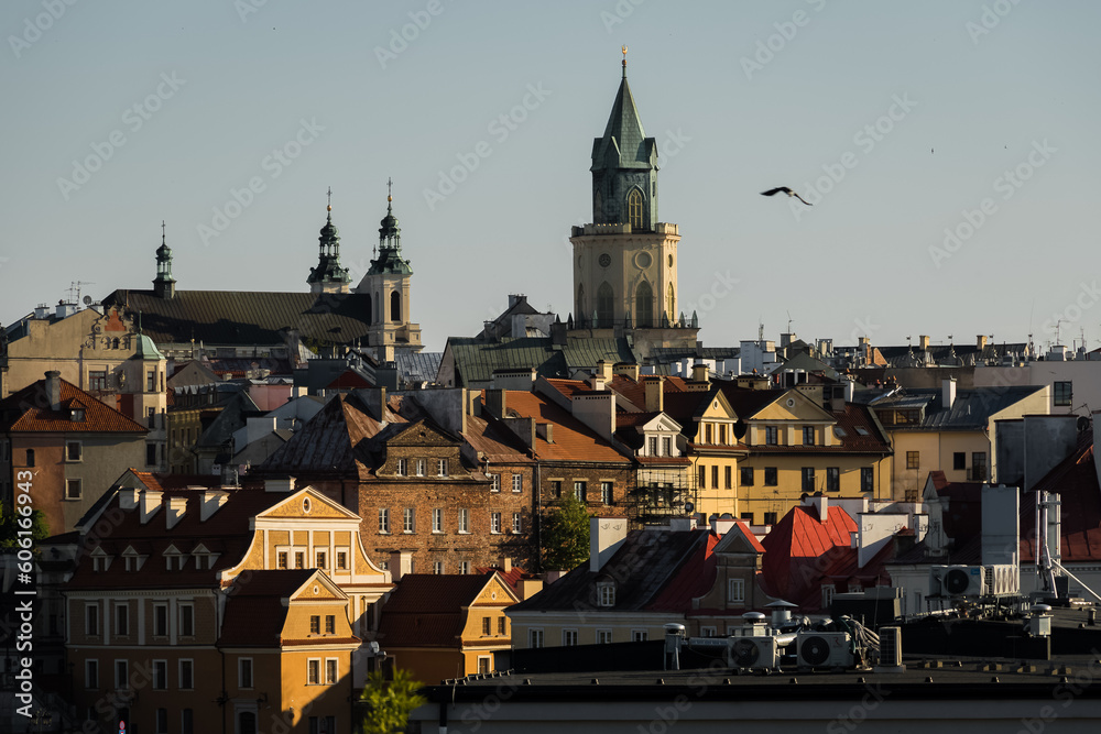 Lublin panorama.