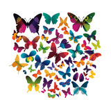 Colourful butterfly graphics Generative AI illustrations