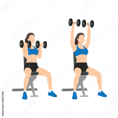 Woman doing seated Arnold press on a bench exercise. Flat vector illustration isolated on white background