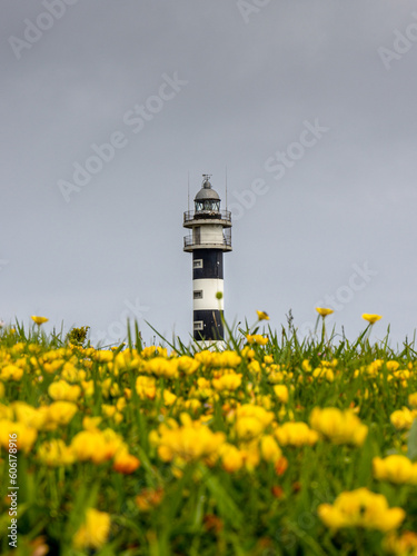 lighthouse on the coast