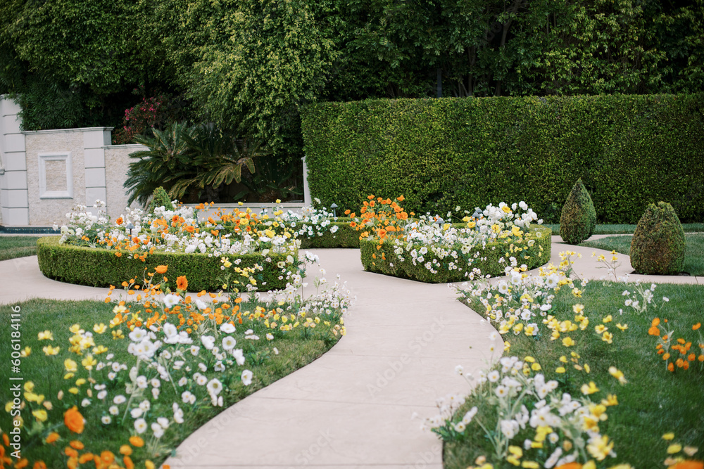 flowers in garden