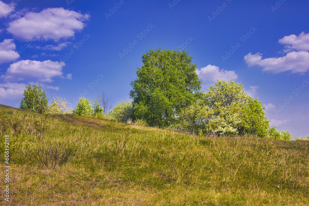 Summer landscape green meadow and forest in the background against the backdrop of a beautiful blue sky and white clouds. Summer landscape green meadow and forest in the background against the backdrop of a beautiful blue sky and white clouds.