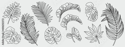 Photographie Tropical leaves in doodle style
