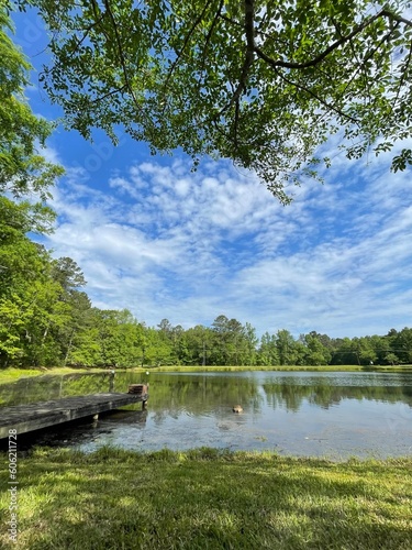 The beautiful view of the tree and the pond on a sunny day with the clear blue sky and white fluffy clouds, reflection in the pond and old wooden dock, Spring in GA USA.