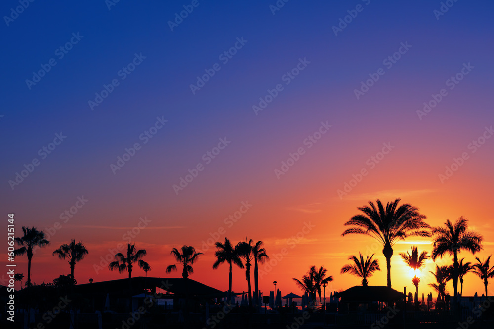 Silhouettes of palm trees in the sunset . Tropical park in twilight