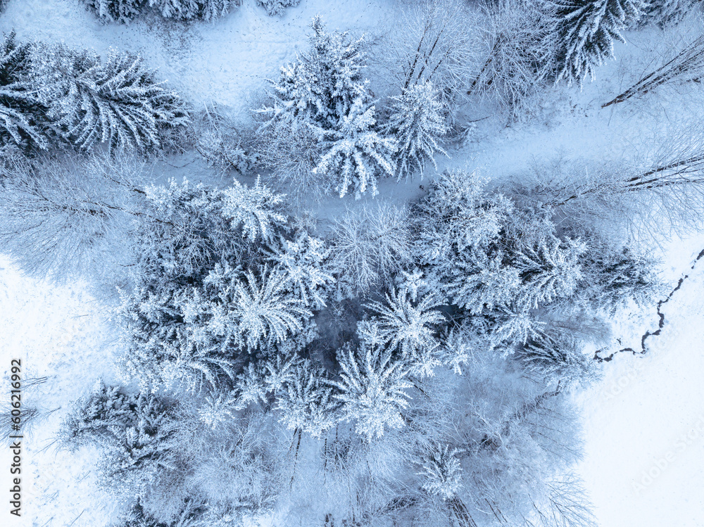 Aerial. Trees and snow in a winter forest. Nature background top view from drone Aerial. Trees and snow in a winter forest. Nature background top view from drone