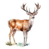 AI generated Watercolor Deer: Whimsical and Serene Wildlife Artwork on White Background