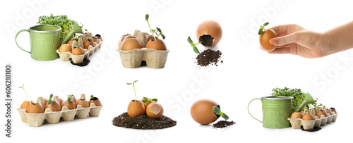 Collage of eggshells with soil, seedlings and watering can on white background