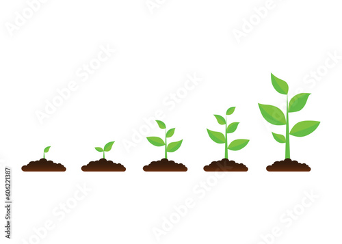 green campaign trees grow from seeds forest replanting