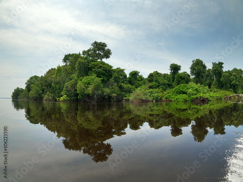 Rio Negro - Amazônia - Brasil