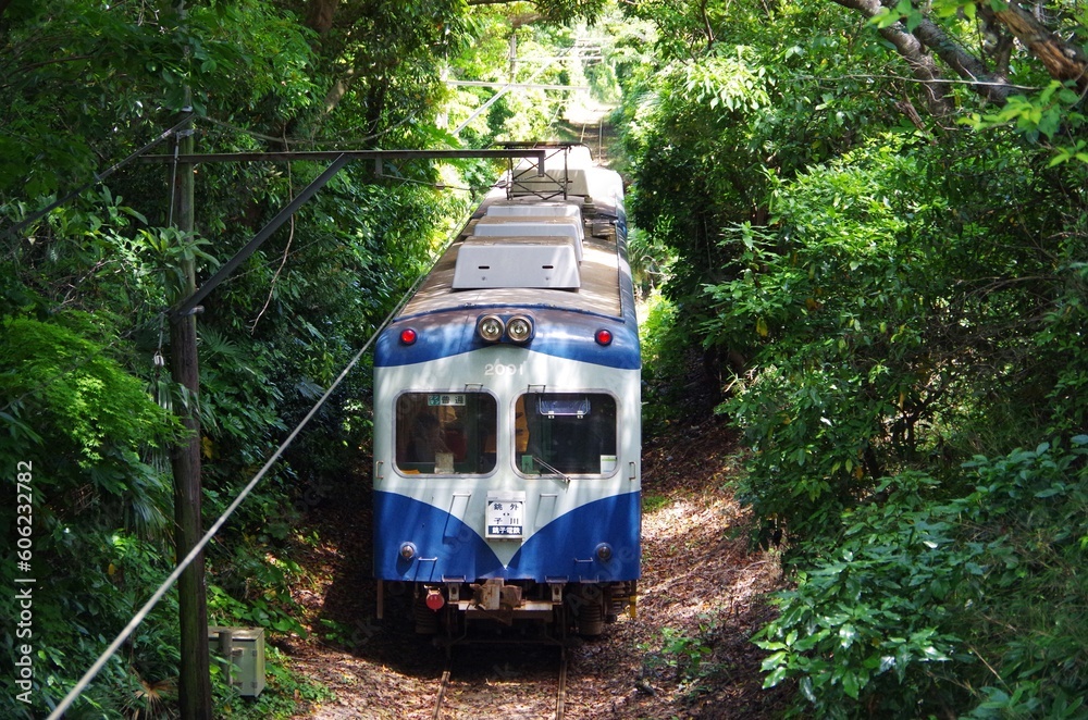 Naklejka premium 森のなかの銚子電鉄