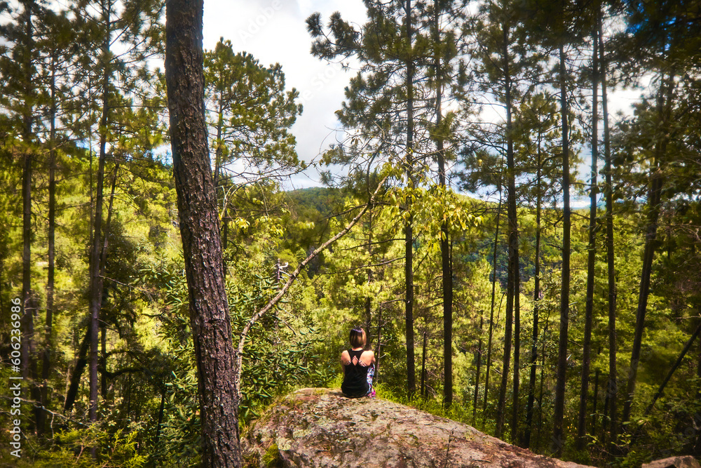 young woman in the forest with big pines and rocks with moss, girl in the wood stand up in front of trees