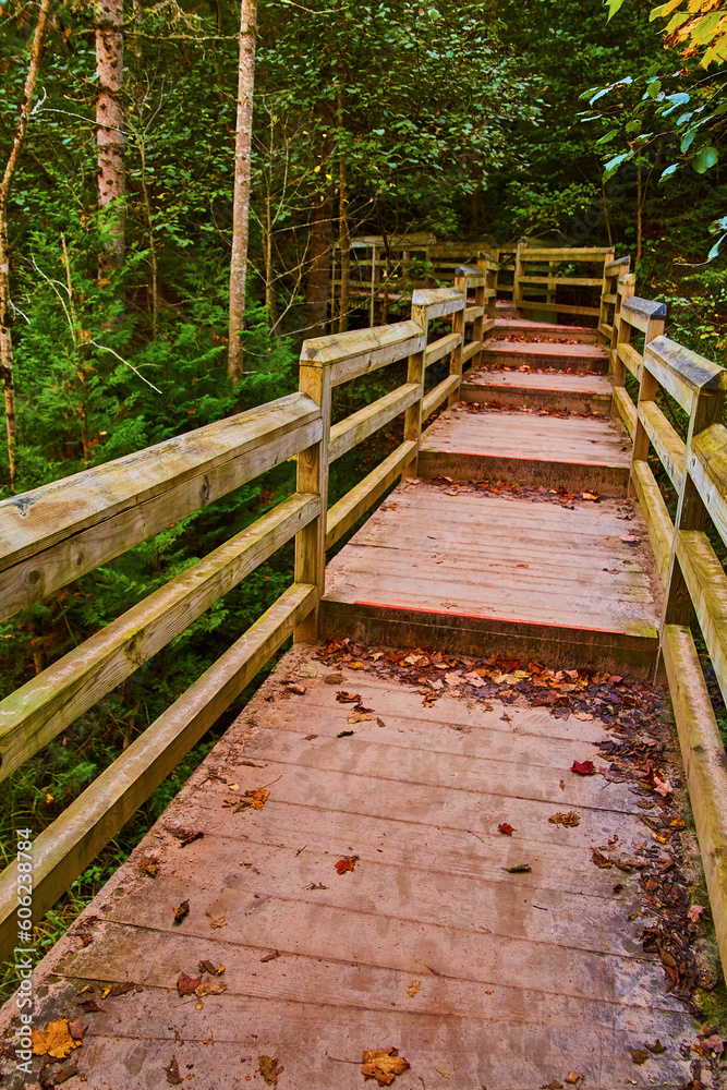 Boardwalk park trail walkway with fallen leaves on path through summer forest
