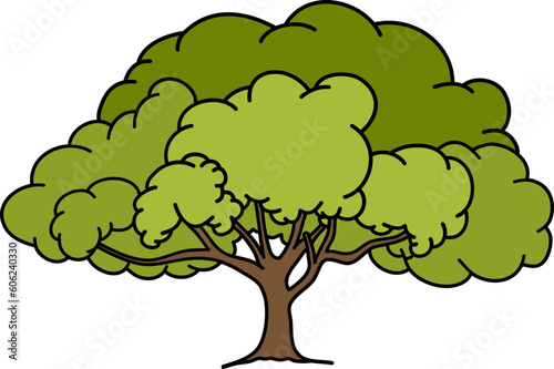 Plant Tree Illustration