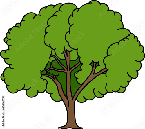 Wood Tree Illustration