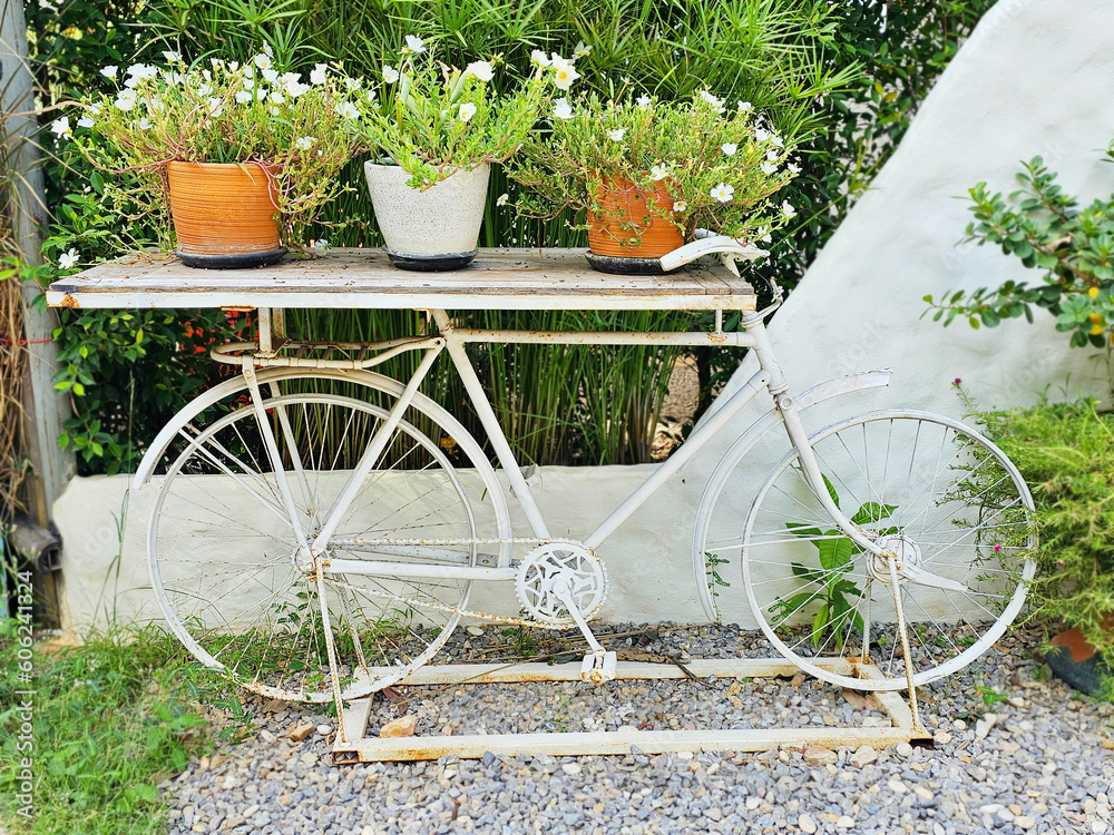Vintage white bicycle with flower basket in the middle of the garden. beautiful decoration on natural background	