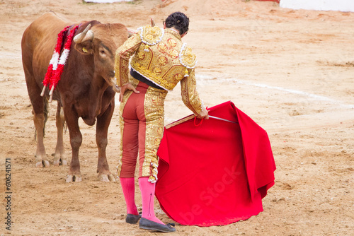 Bullfighter and bull in the arena