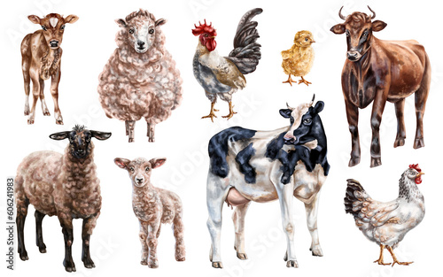 Fototapeta Naklejka Na Ścianę i Meble -  A set of farm animals: cows, chickens, sheep. Rural village mammals, livestock, poultry. Digital illustration on a white background. For postcards, stickers, compositions