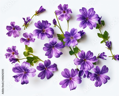 bunch of purple flowers on a white background, Generative Ai