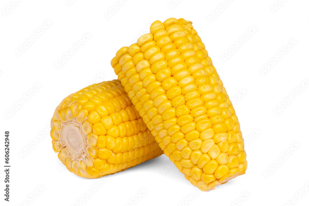 Corn isolated on white background Corn isolated on white background