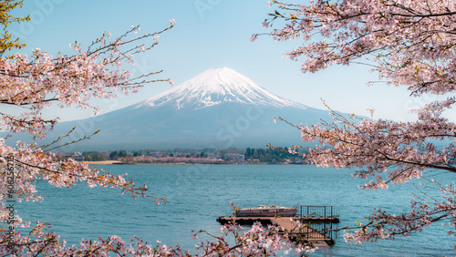 Mount Fuji with cherry blossom at Lake kawaguchiko in japan photo