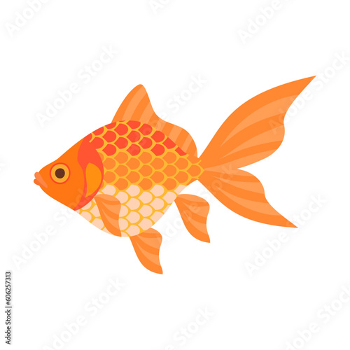 金魚（琉金）。フラットなベクターイラスト。
Ryukin goldfish (fantail goldfish). Flat designed vector illustration.