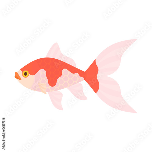 金魚（コメット）。フラットなベクターイラスト。
Comet goldfish. Flat designed vector illustration.