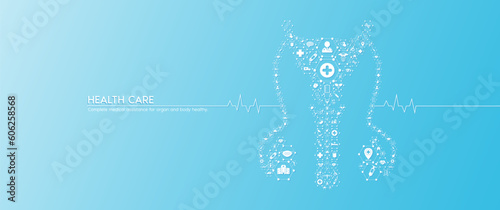 Reproductive system male. Medical icons inside hexagons connected in the shape of the human penis with white rate graph heart pulse. Organs on blue background banner. Vector.