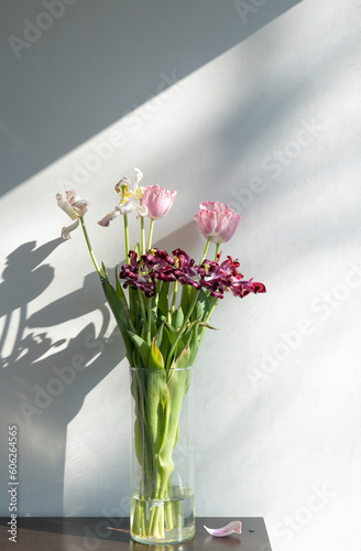 Fading or faded flowers  tulips in the vase on a white minimalistic background