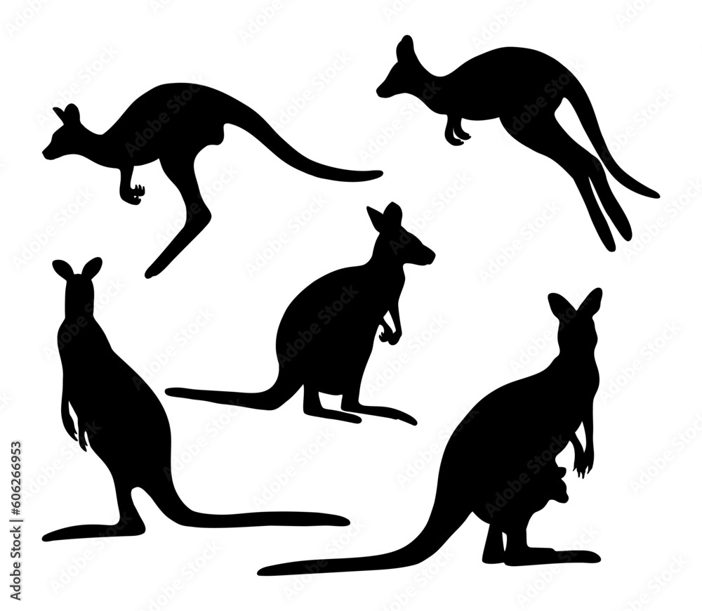 Collection silhouettes kangaroo. Vector illustration. Isolated hand drawings Australian animal on white background for design.