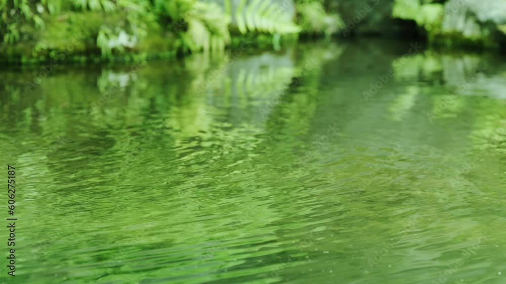新緑の緑を反射した森の湧き水の揺らぎと波紋 日本・山・夏・涼しい・自然・水資源・環境 新緑の緑を反射した森の湧き水の揺らぎと波紋 日本・山・夏・涼しい・自然・水資源・環境