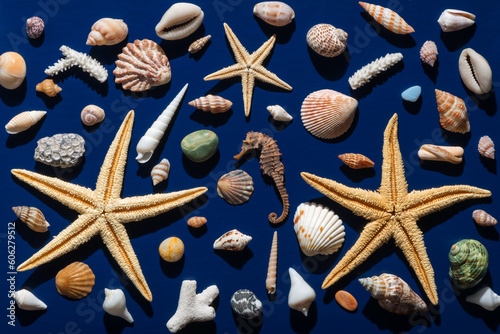 top view of seashells  starfish with hard shadow over deep dark blue background