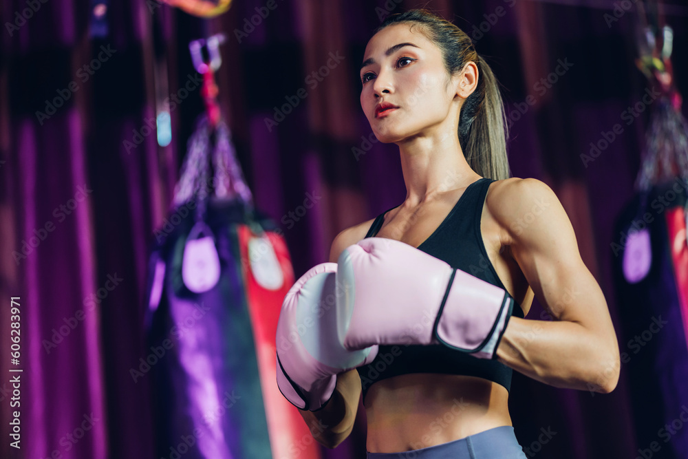 Naklejka premium Female Boxer training in Boxing Club. Woman Boxing fighters training at gym. Strong muscular woman practicing box in pink boxing gloves in gym.