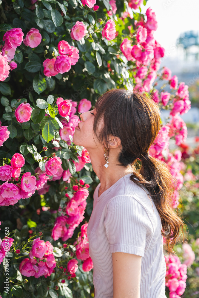Naklejka premium バラ園にいる女性