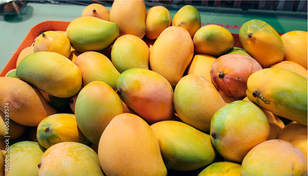 mangoes on the store mangoes on the store