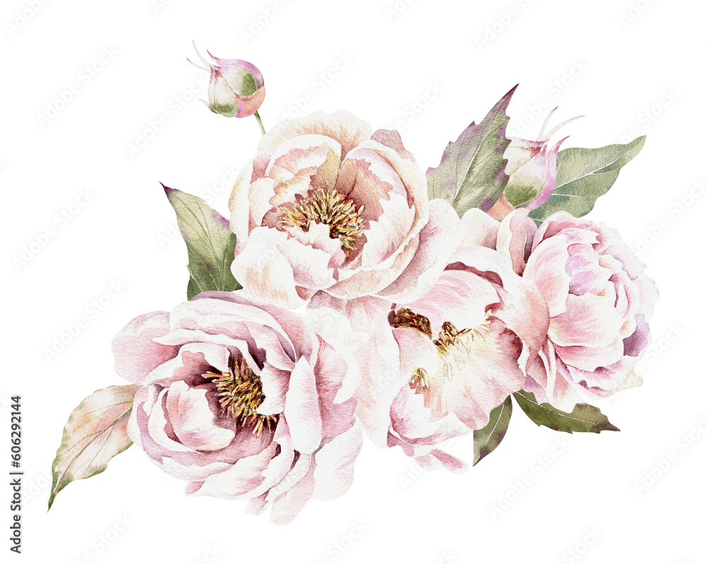 Beautiful realistic illustration with pink peonies, watercolor bouquet on white background. Floral decor. Hand drawn art on a white background. Floral design