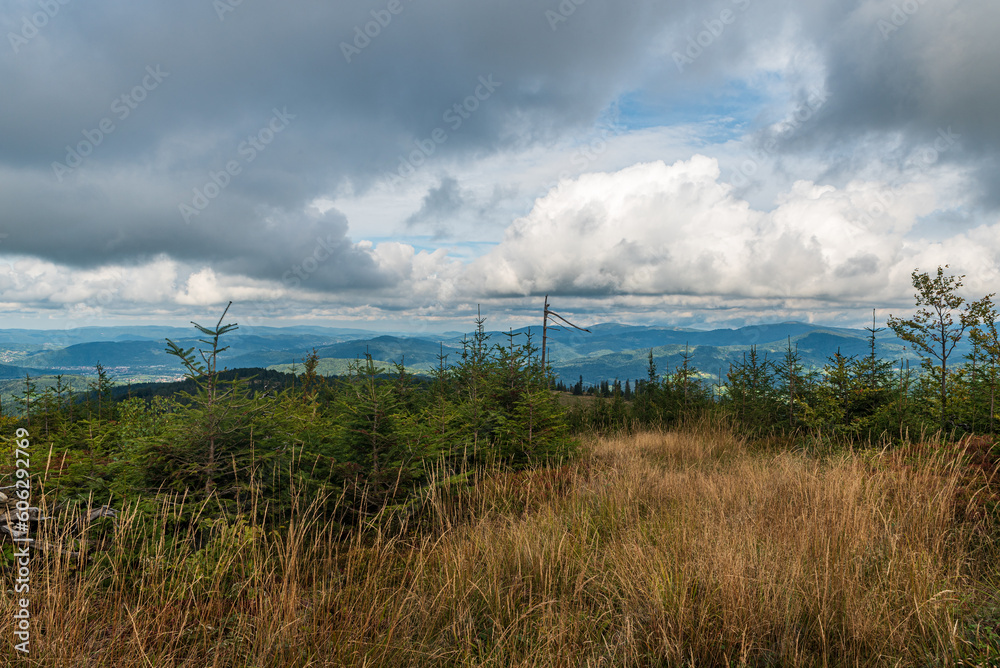 View from small forest glade above Hala Uszczawne in Beskid Zywiecki mountains in Poland