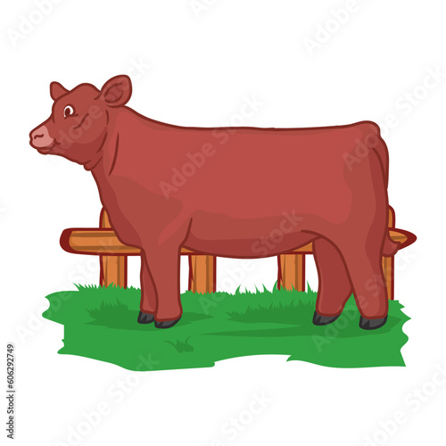 heifer cattle cartoon is preparing for livestock show in the paddock
