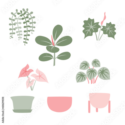 Indoor plant with pot - collection