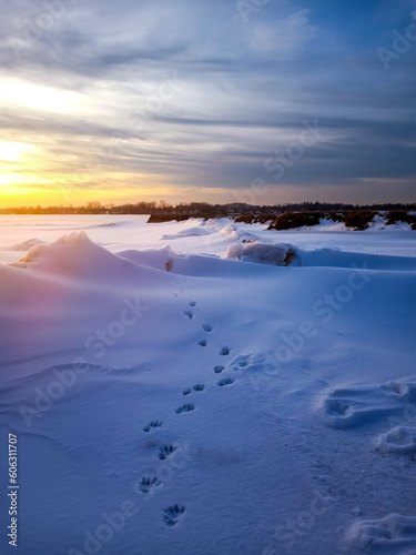 footprints in the snow