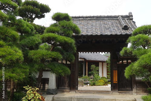 Buddhist library surrounded by trees