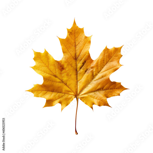 Yellow maple leaf on a transparent background. Generative AI