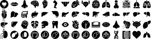 Set Of Organ Icons Isolated Silhouette Solid Icon With Internal, Organ, Stomach, Heart, Health, Medical, Medicine Infographic Simple Vector Illustration Logo