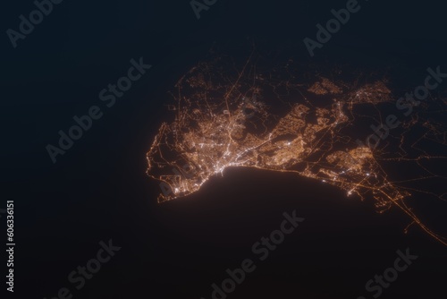 Aerial shot on Port Elizabeth (South Africa) at night, view from east. Imitation of satellite view on modern city with street lights and glow effect. 3d render