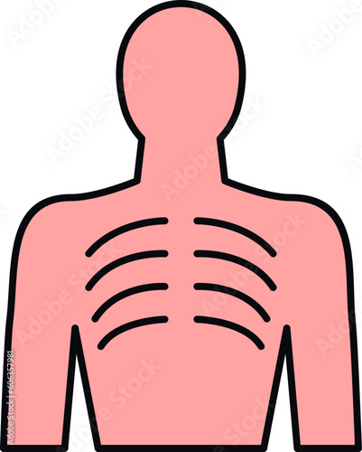 Human Ribs