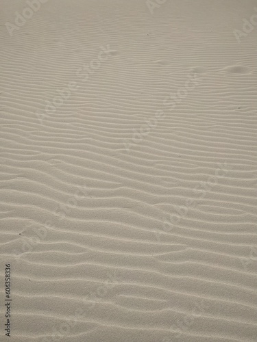 Sand Texture