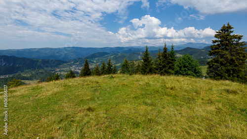 The carpathian landscape at Bran in Romania 
