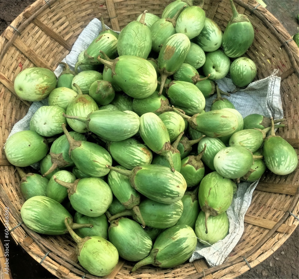 Collection of green eggplants in a bamboo basket Collection of green eggplants in a bamboo basket