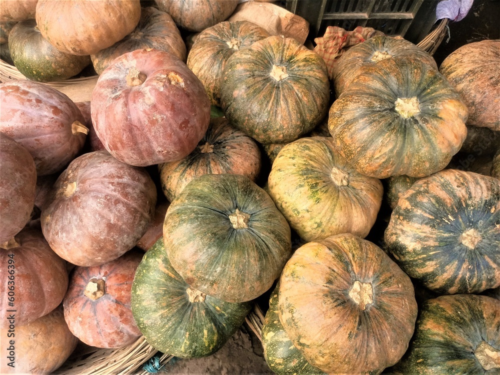Huge collection of pumpkins for selling